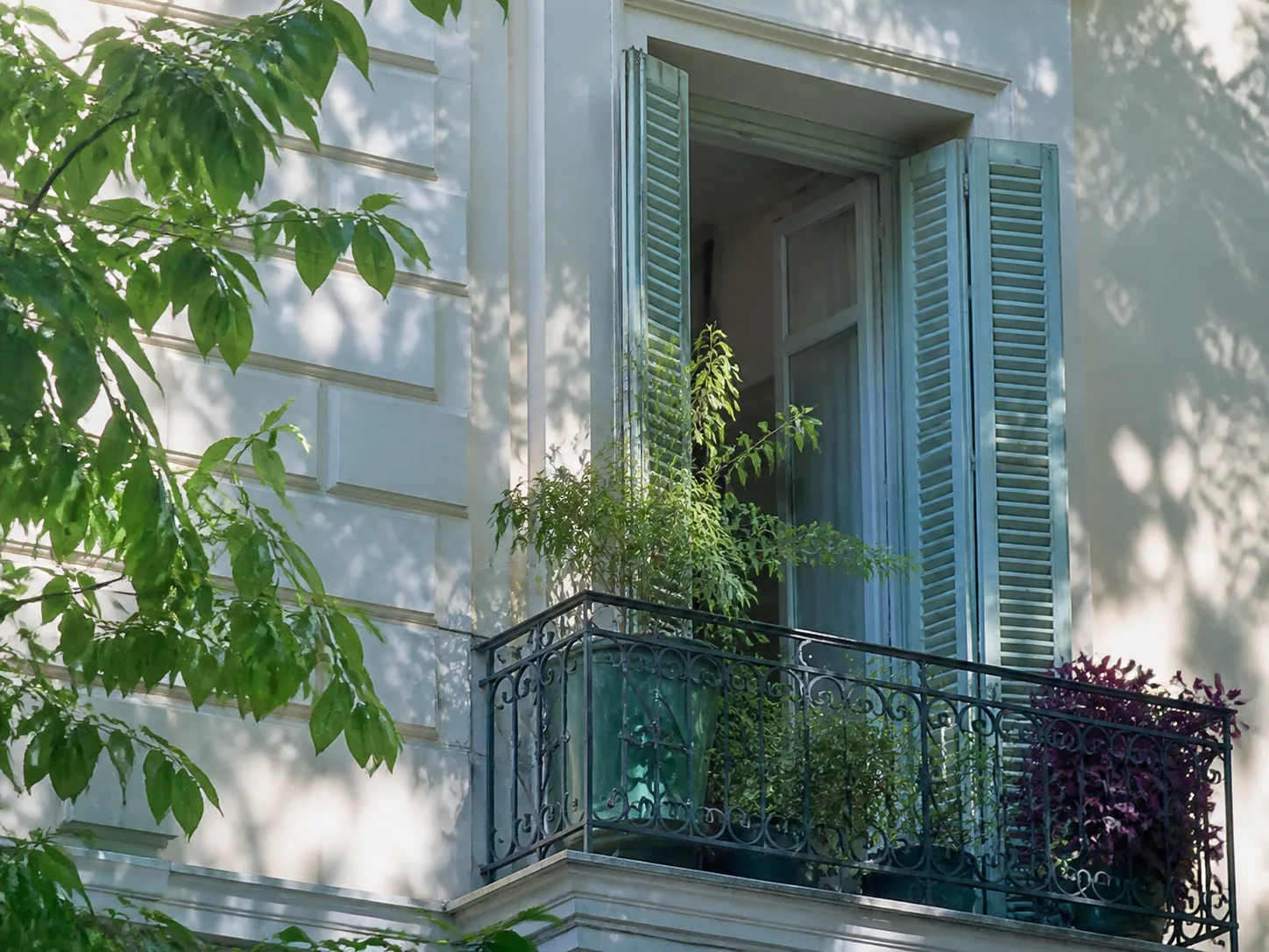 Balcon végétalisé qui ombre une façade claire